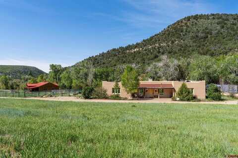 206 Shasta Trail, Hesperus, CO 81326
