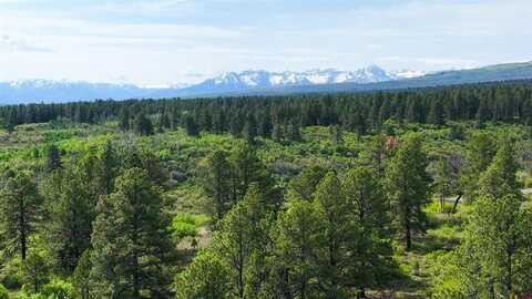 35 Acres Davewood Road, Montrose, CO 81403