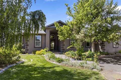 67887 Tumbleweed Road, Montrose, CO 81403