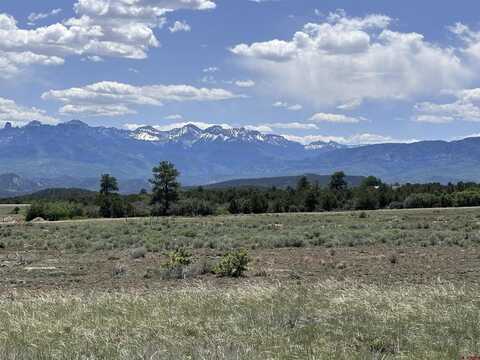 70 Alpenview Meadows Drive, Ridgway, CO 81432