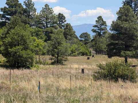 16 Mansions Circle, Pagosa Springs, CO 81147