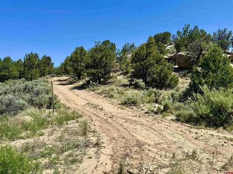000 CR 402 Road, Lindrith, NM 87029