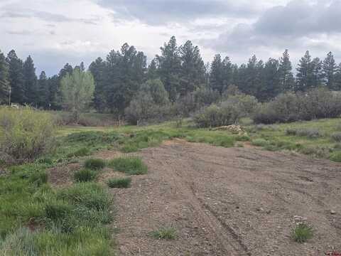 634 Cactus Drive, Pagosa Springs, CO 81147