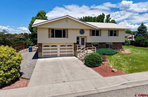2343 Oldham Way, Montrose, CO 81401