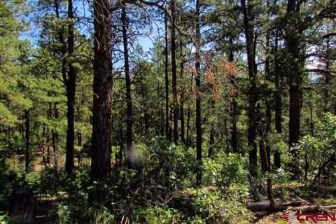 115 S Squaw Canyon Place, Pagosa Springs, CO 81147
