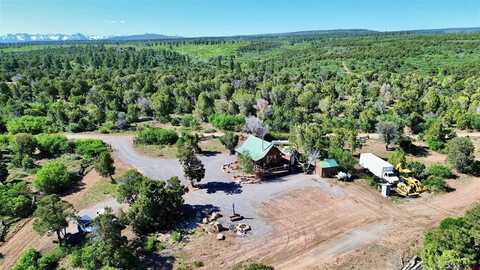 1165 TIMBER RIDGE Road, Montrose, CO 81401