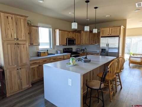 117 North Fork Avenue, Paonia, CO 81428