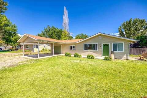 226 Maple Drive, Hotchkiss, CO 81419