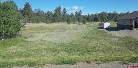 246 Periwinkle Drive, Pagosa Springs, CO 81147