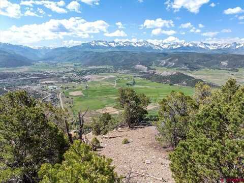 802 Pine Drive, Ridgway, CO 81432