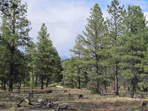 155 Monterosa Court, Pagosa Springs, CO 81147