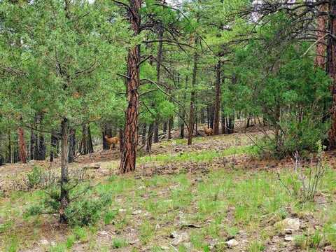 0253 Aspen Circle, South Fork, CO 81154
