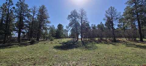 225 Badger Trail, Ridgway, CO 81432