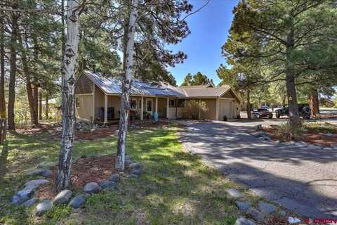 394 Handicap, Pagosa Springs, CO 81147