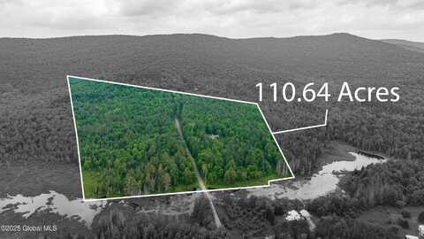 11 Darling Road, Stony Creek, NY 12878