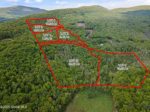 9 Galway Road, Windham, NY 12496