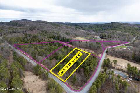 L 3 County Route 21, Hampton, NY 12887