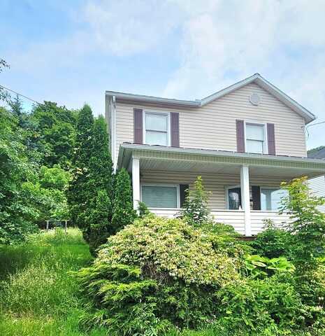 318 Vaughn Street, Johnstown, PA 15906