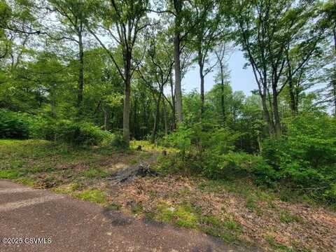 LOT 5 WOODLAND Drive, Mount Carmel, PA 17851