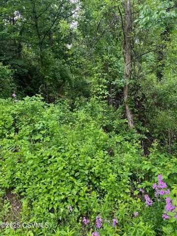 LOT PENNS CREEK Road, Mifflinburg, PA 17844