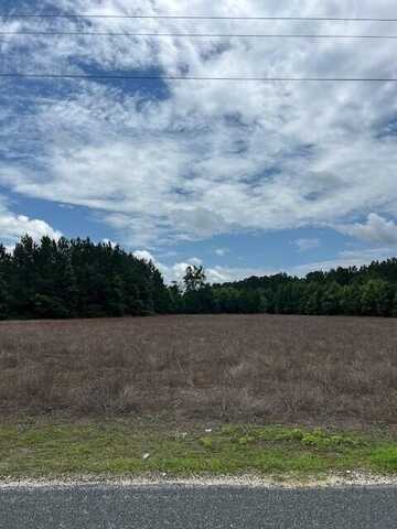 Lot B-2 Reeves Farm Road, Saint George, SC 29477