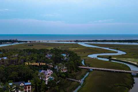 79 Trailing Vine Way, Kiawah Island, SC 29455