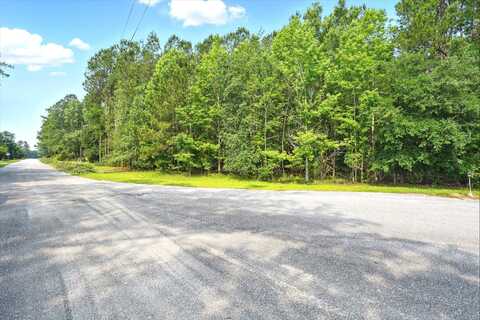0 Joyland Lane, Cottageville, SC 29435
