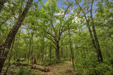 4848 Woodville Road, Awendaw, SC 29429