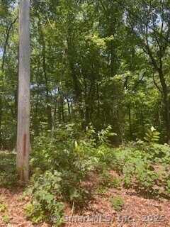 6 Grouse Lane, Woodbridge, CT 06525