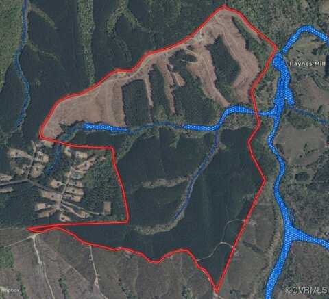 Tbd Paynes Pond Road, Scottsville, VA 24590