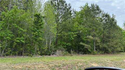 6804 Hungarytown, Nottoway, VA 23834