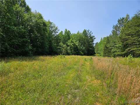 39.27 Acres Amelia Springs Road, Jetersville, VA 23083