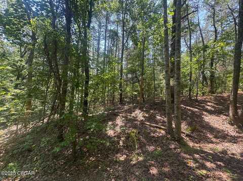 154 Oak Grove Road, Middleton, TN 38052