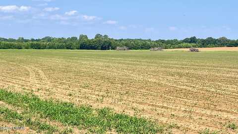 0 Hwy 100 & Vildo Road, Bolivar, TN 38008