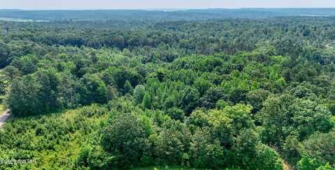 0 Hardin Graveyard/Leapwood Enville Road, Adamsville, TN 38310