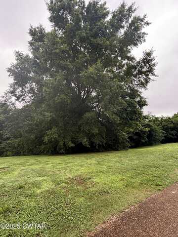 0 Austin Store Road, Covington, TN 38019