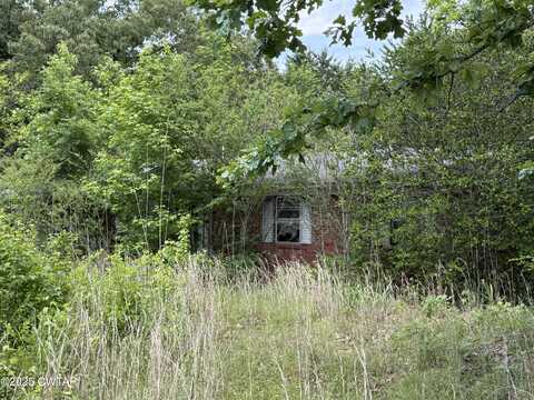 1427 Britton Lane, Denmark, TN 38391