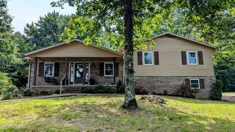 3600 Sand Mountain Road, Enville, TN 38332