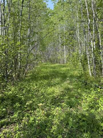 XX Fors Rd, Two Harbors, MN 55616