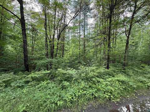 0000 Pokegama Dr, Minocqua, WI 54548