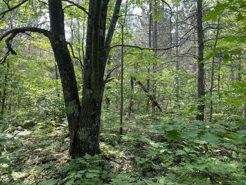 000 Five Acre Rd, Washburn, WI 54891
