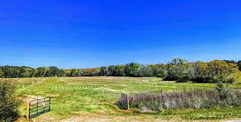 5.09 ac County Road 711, Enterprise, AL 36330