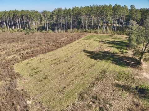 18.5 ACRES COUNTY ROAD 45, Hartford, AL 36340