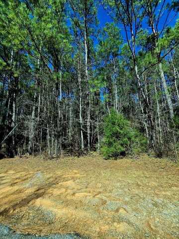 undefined, Ozark, AL 36360