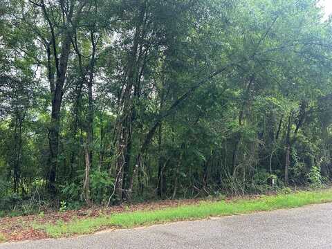 0 Holmes Rd, Newton, AL 36352