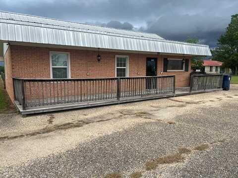 3084 State Hwy 123, Newton, AL 36352