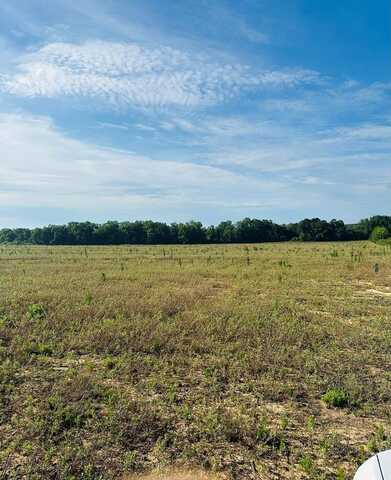 0 New Hinson Rd, Slocomb, AL 36375