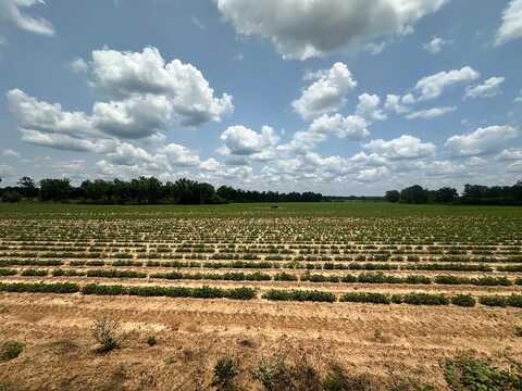 14 Acres Lot 6 J Saunders, Dothan, AL 36305