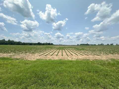 10 Acres Lot 2 J Saunders, Dothan, AL 36305