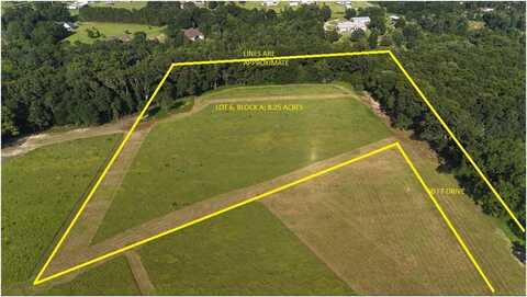 Lot 6 Block "A" County Road 20, Headland, AL 36345